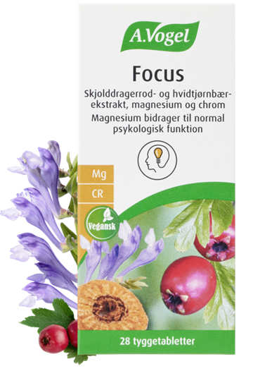 A. Vogel Focus (28 tyggetabletter) TILBUD 