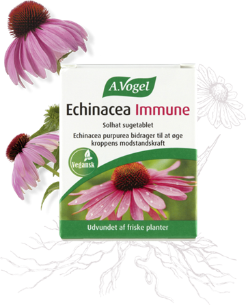 A.Vogel Echinacea Immune (30 tabl.)