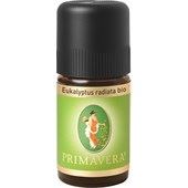 Eucalyptus Radiata 5 ml.